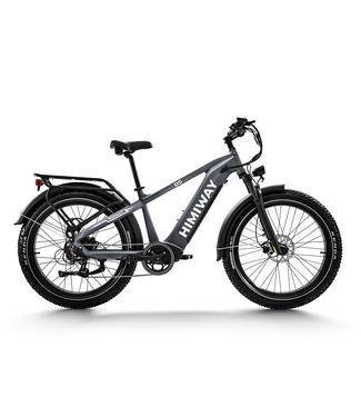 Himiway Himiway D5 Zebra Premium All-Terrain Electric Fat Bike Basic Version