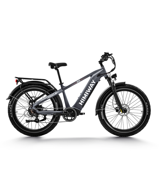 Himiway D5 Zebra Premium All-Terrain Electric Fat Bike Basic Version