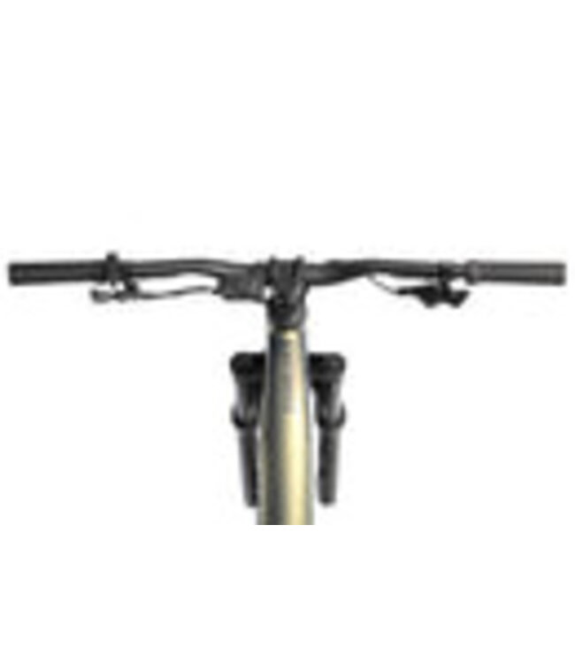 Aventon Ramblas Mid Drive Electric Mountain Bike