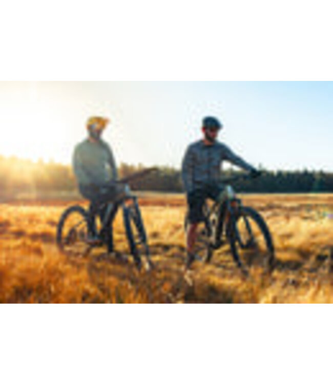 Aventon Ramblas Mid Drive Electric Mountain Bike