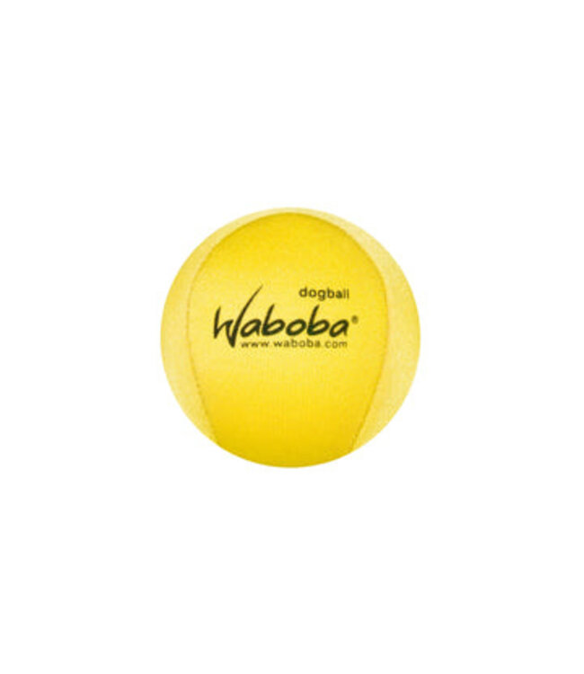 Waboba Fetch Dog Water Ball