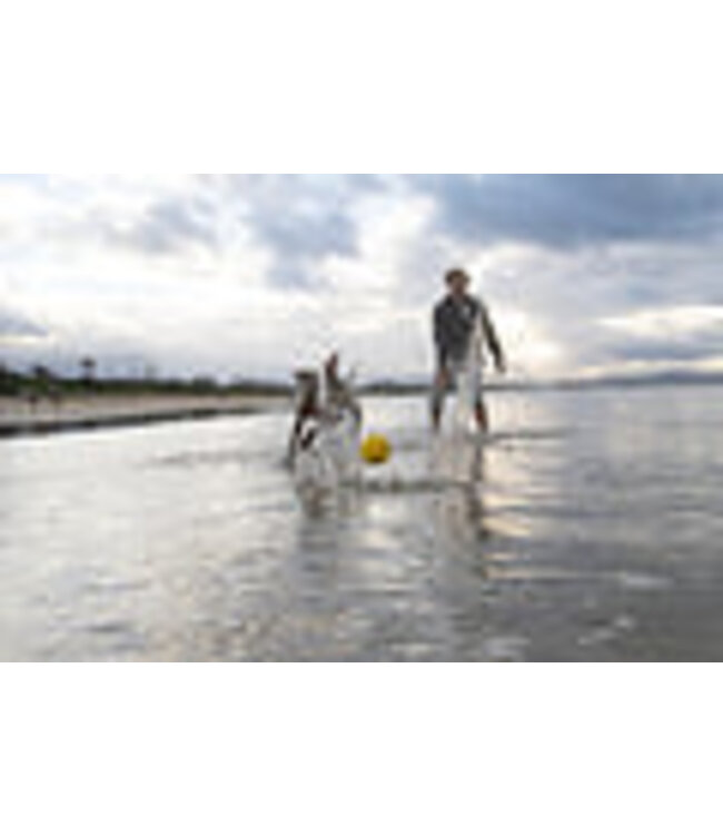 Waboba Fetch Dog Water Ball