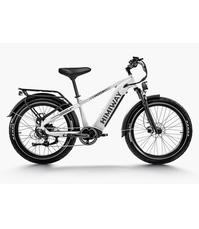 Himiway D5 Zebra Premium All-Terrain Electric Fat Bike Basic Version