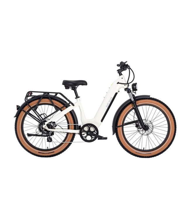 Aima Big Sur 26" Fat Tire E-Bike