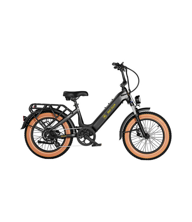 Aima Big Sur Sport 20" Fat Tire E-Bike