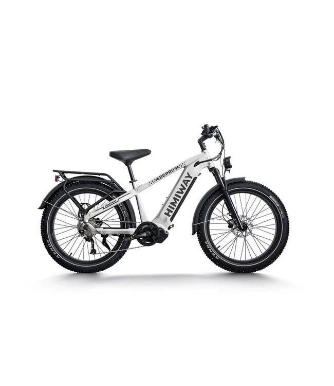 Himiway D5 Zebra Step-Thru Premium All-Terrain Electric Fat Bike Upgraded Model