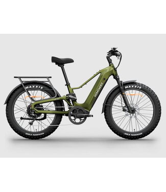 Himiway Himiway D5 2.0 Step Thru Fat Tire E-Bike