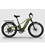 Himiway Himiway D5 2.0 Step Thru Fat Tire E-Bike