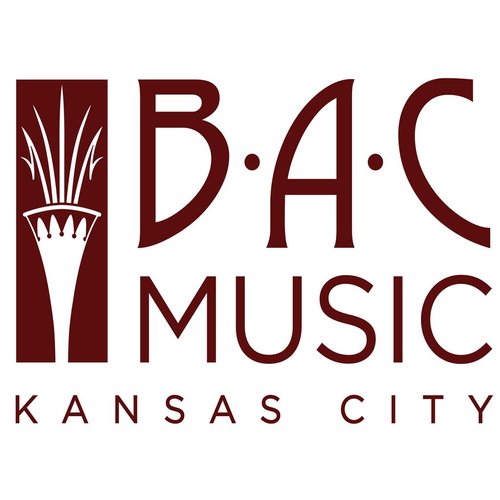 BAC Musical Instruments B.A.C. Music B1 Premium Valve Oil BAC Musical Instruments B.A.C. Music B1 Premium Valve Oil