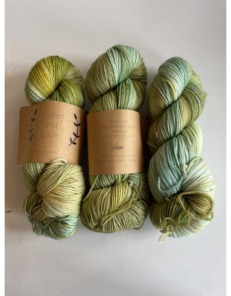 Lichen and Lace 80-20 Sock – Riverside Yarns