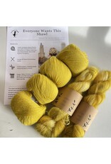 The Mariner's Daughter Everyone Wants this Shawl kit