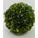 8" Boxwood Ball