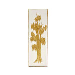 Gold Cypress 12x4