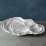 VIDA Ocean Oyster Dip
