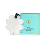 Daisy Collection Boxed BEACH GRASS 3oz