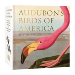 Audubon's Birds of America