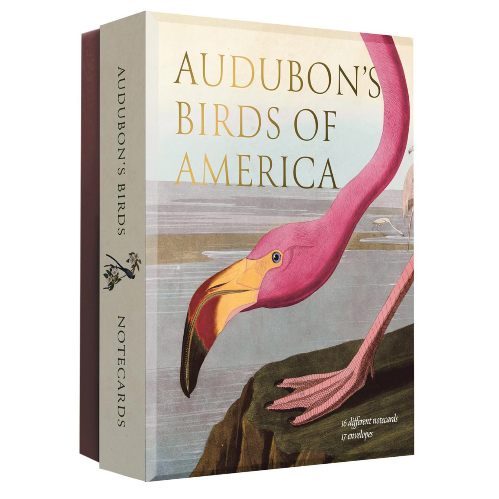 Audubon's Birds of America Notecards