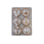 Botanical Magnets Set of 6