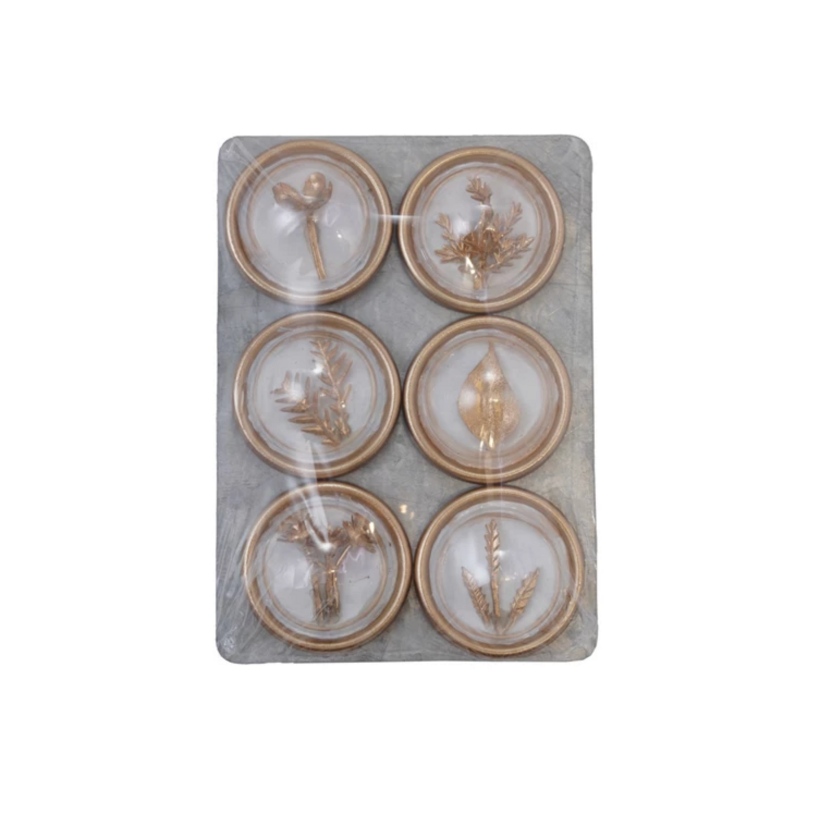 Botanical Magnets S/6