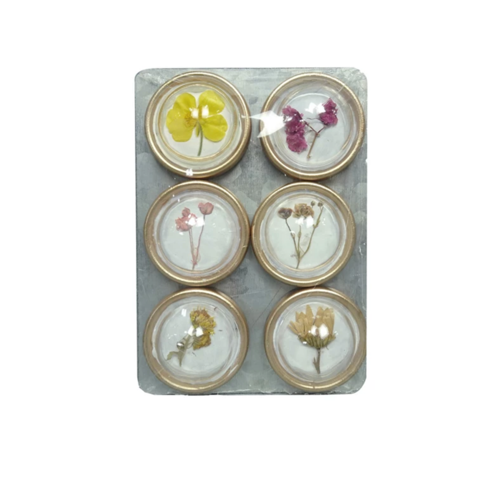 Resin Colorful Botanical Magnets S/6