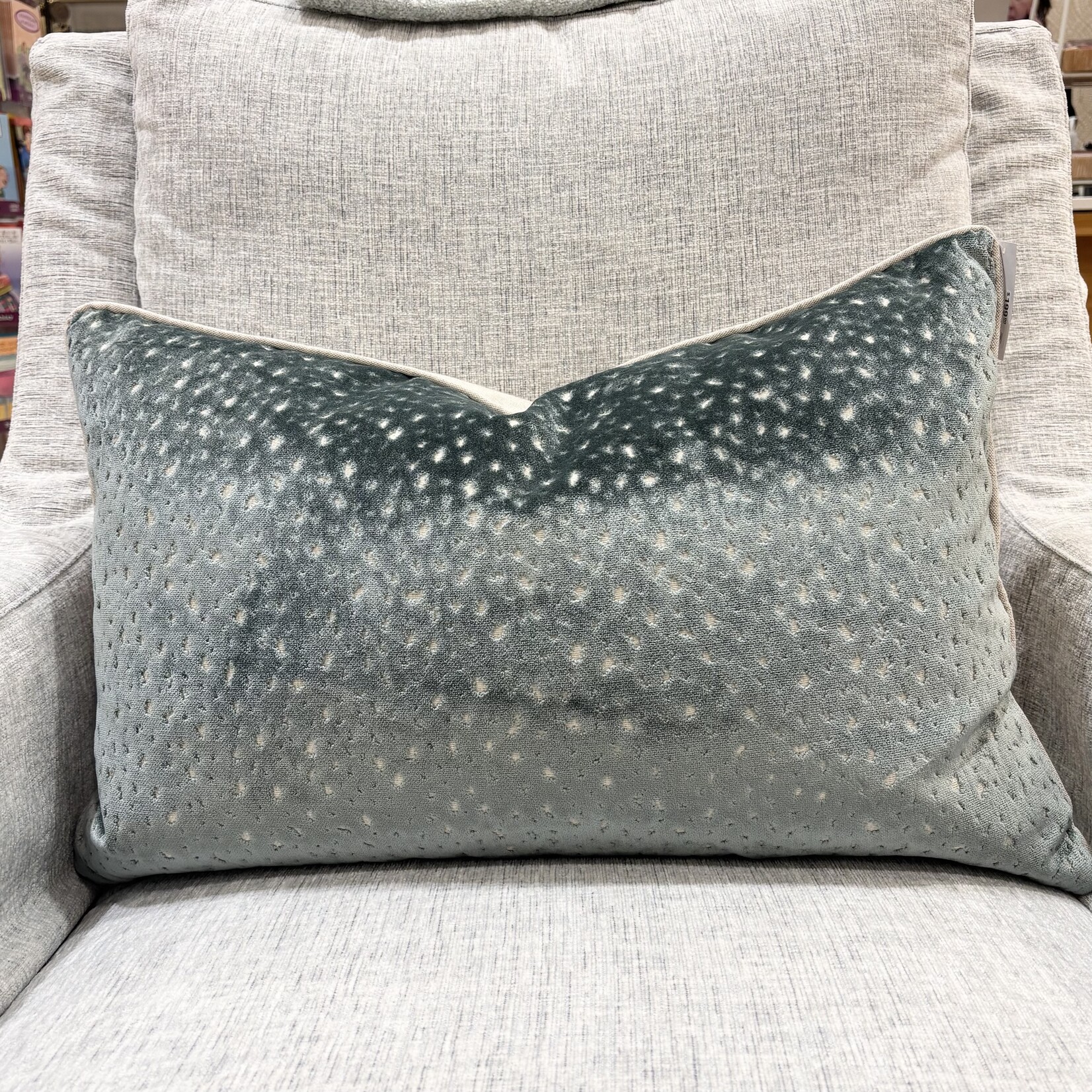 Speckled Velvet Pillow SEA 16x24