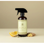 Orleans Tea Multi Surface Cleaner