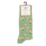 Men's Brown Pelican Socks