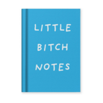 Little B**** Notes Mini Notebook