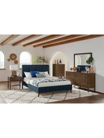 Coaster Furniture 300626Q Charity Queen Bed Blue Upholstered