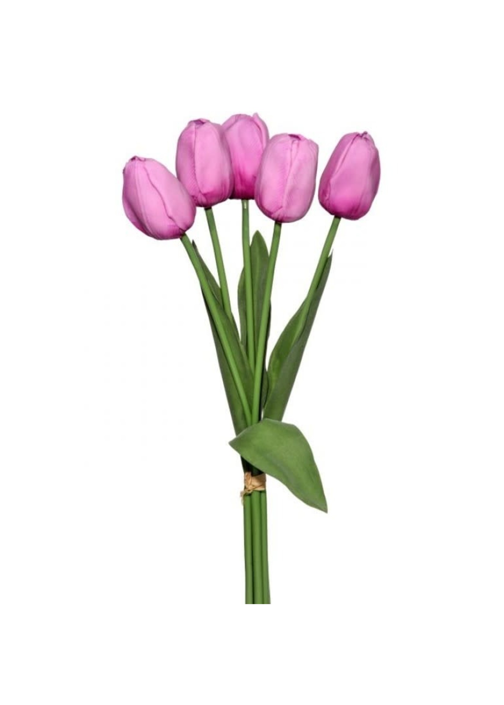 Regency International MTF23078 Natural TCH Dutch Tulip Bundle X5 20", Lavender