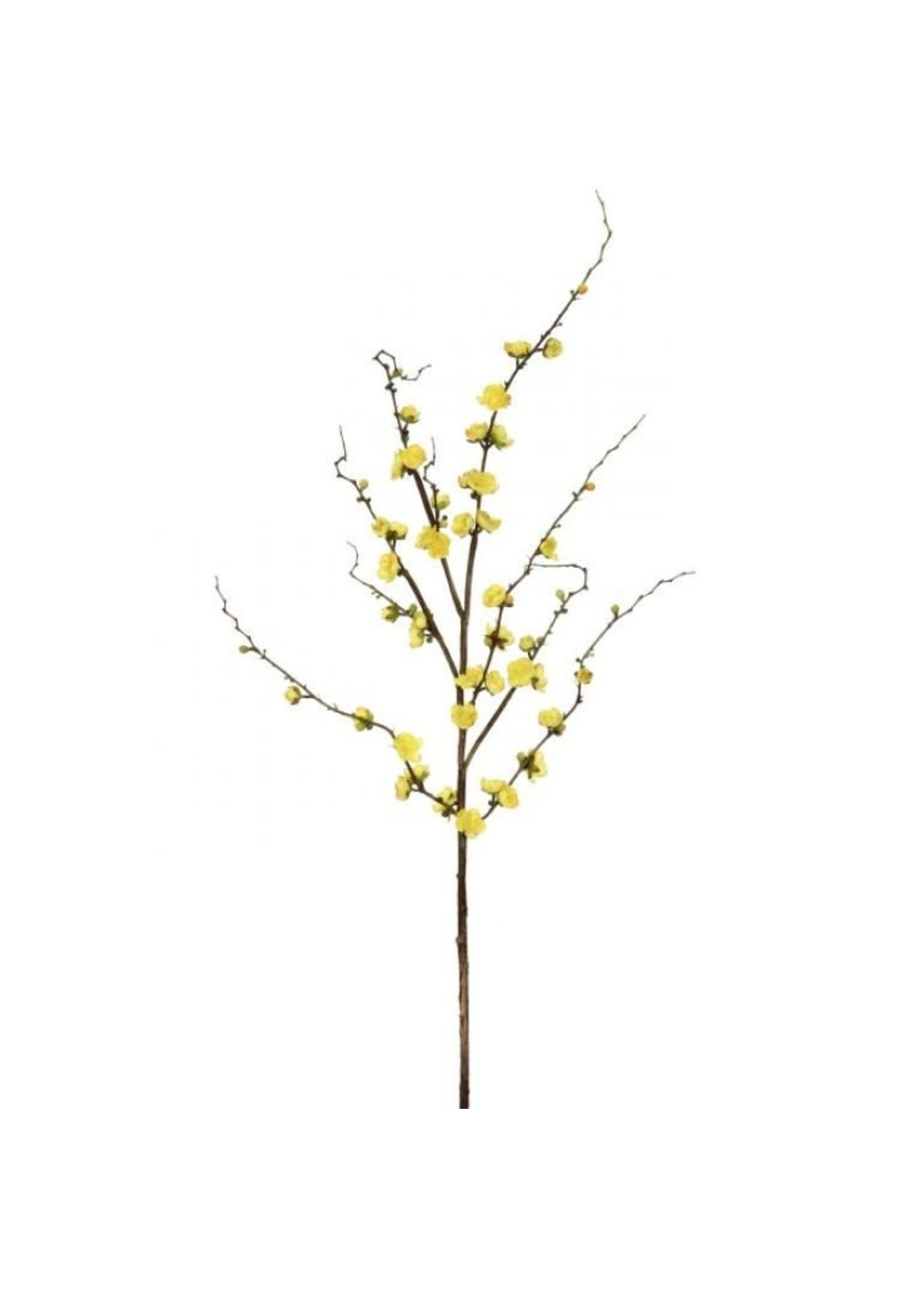 Regency International MTF23091 Plum Blossom Branch 51", yellow
