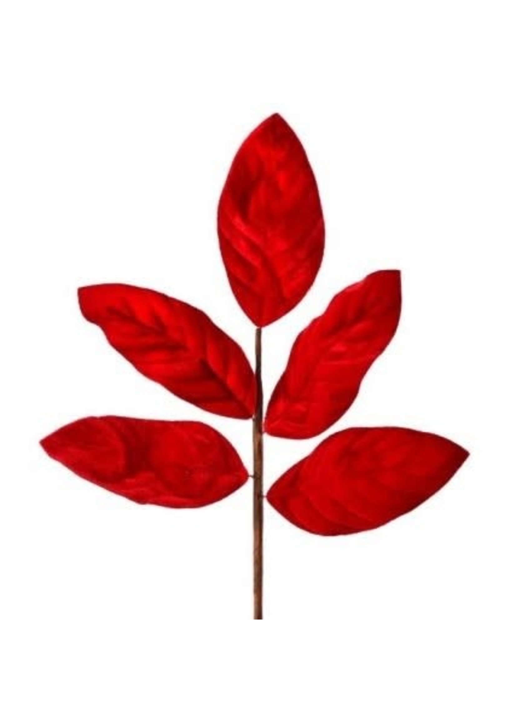 Regency International MTX62056-RED 20" Deluxe Velvet Magnolia Leaf Spray
