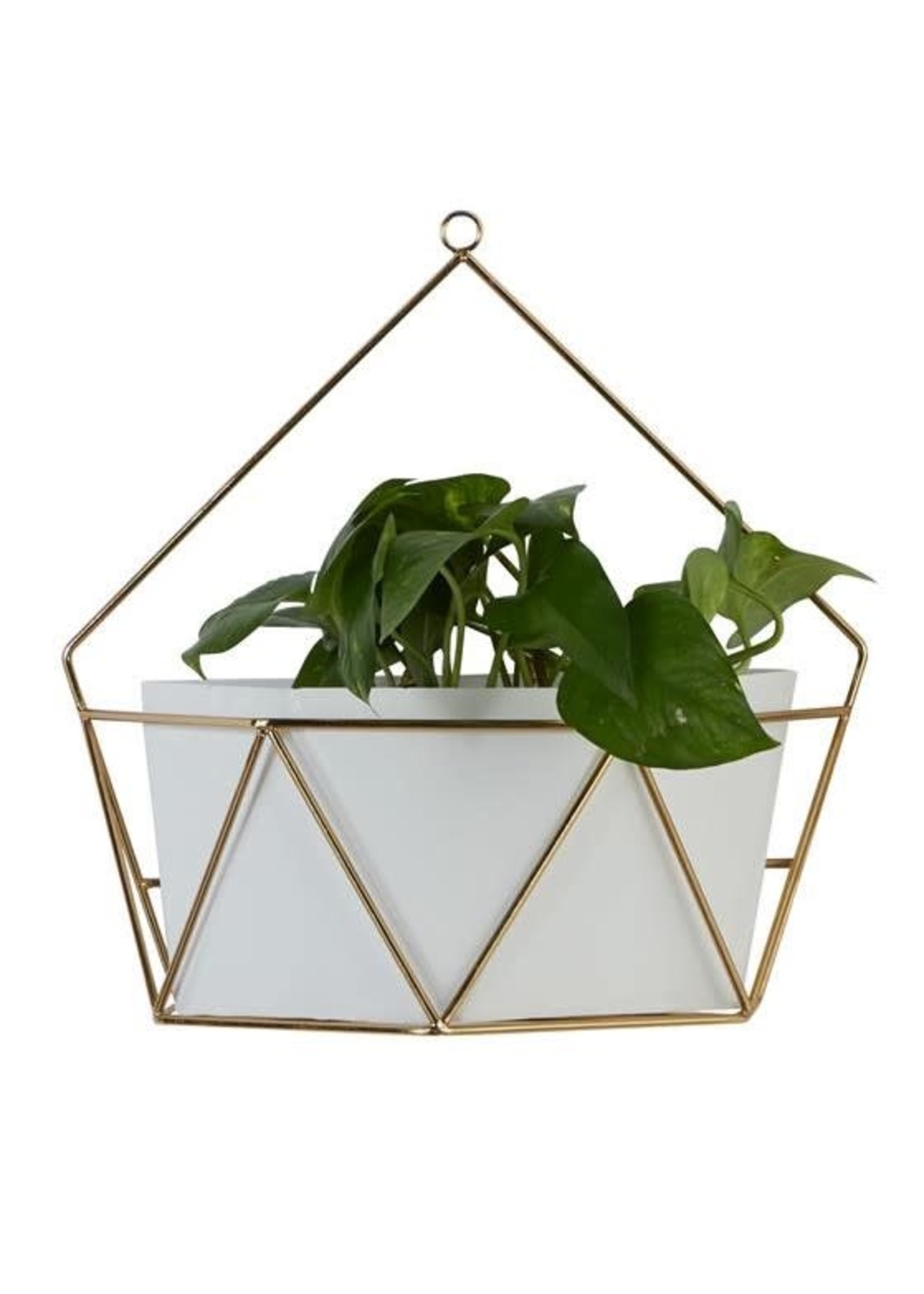 UMA Enterprises 51964L Metal Gold White Wall Planter 15" Large