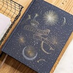 Fringe Studio Shooting Star Non-Dated Daily Planner