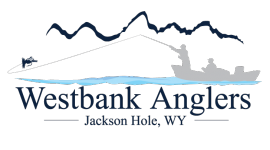 Westbank Anglers, Fly Fishing Specialists 