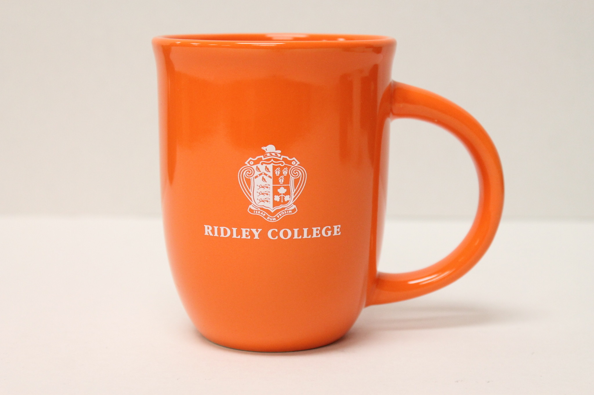 Mug - Sydney with Crest