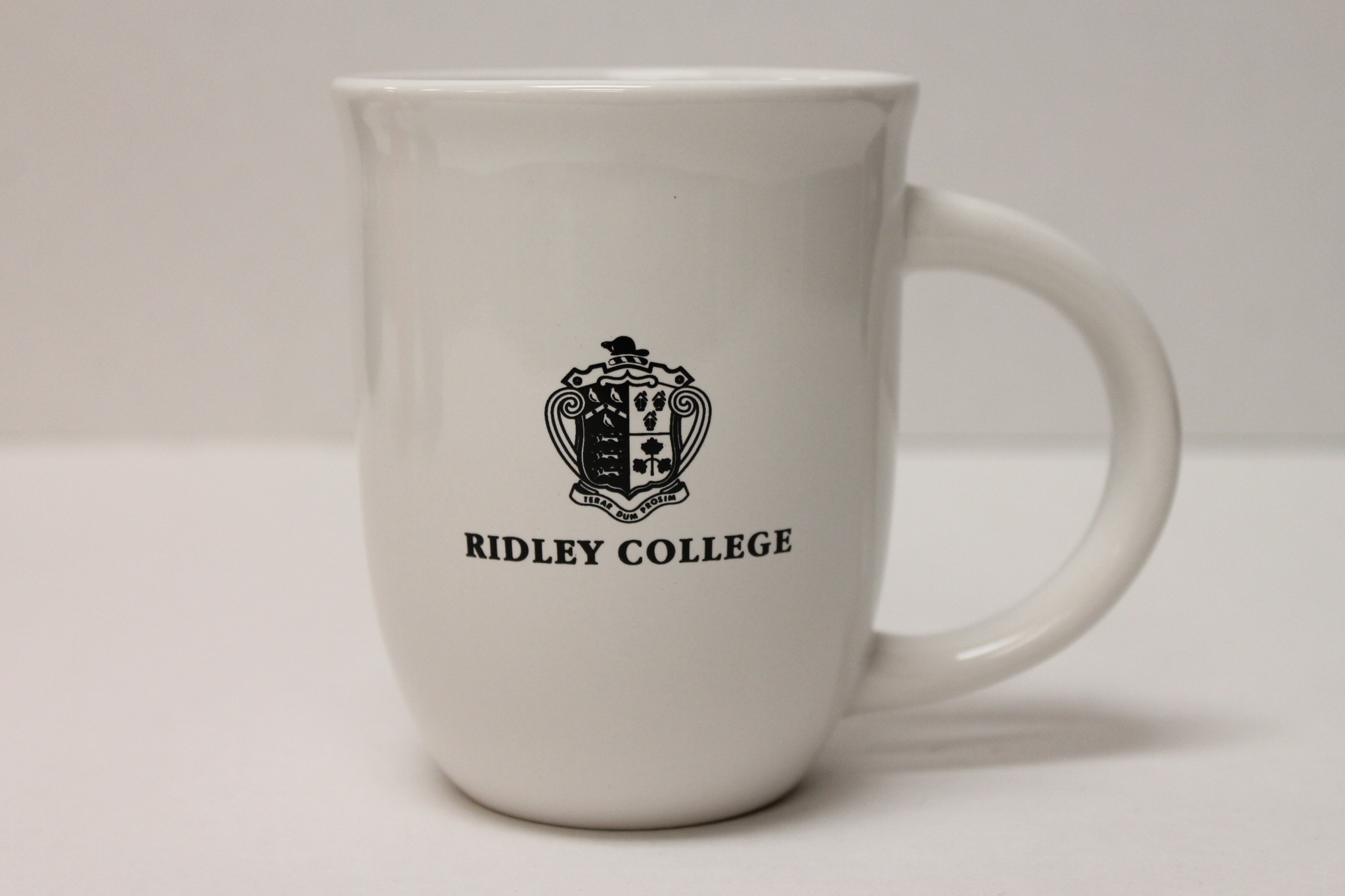 Sydney Mug  (With Crest)