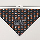 Bandana - Large (16"x29")