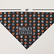 Ridley Bandana - Medium (13"x26")