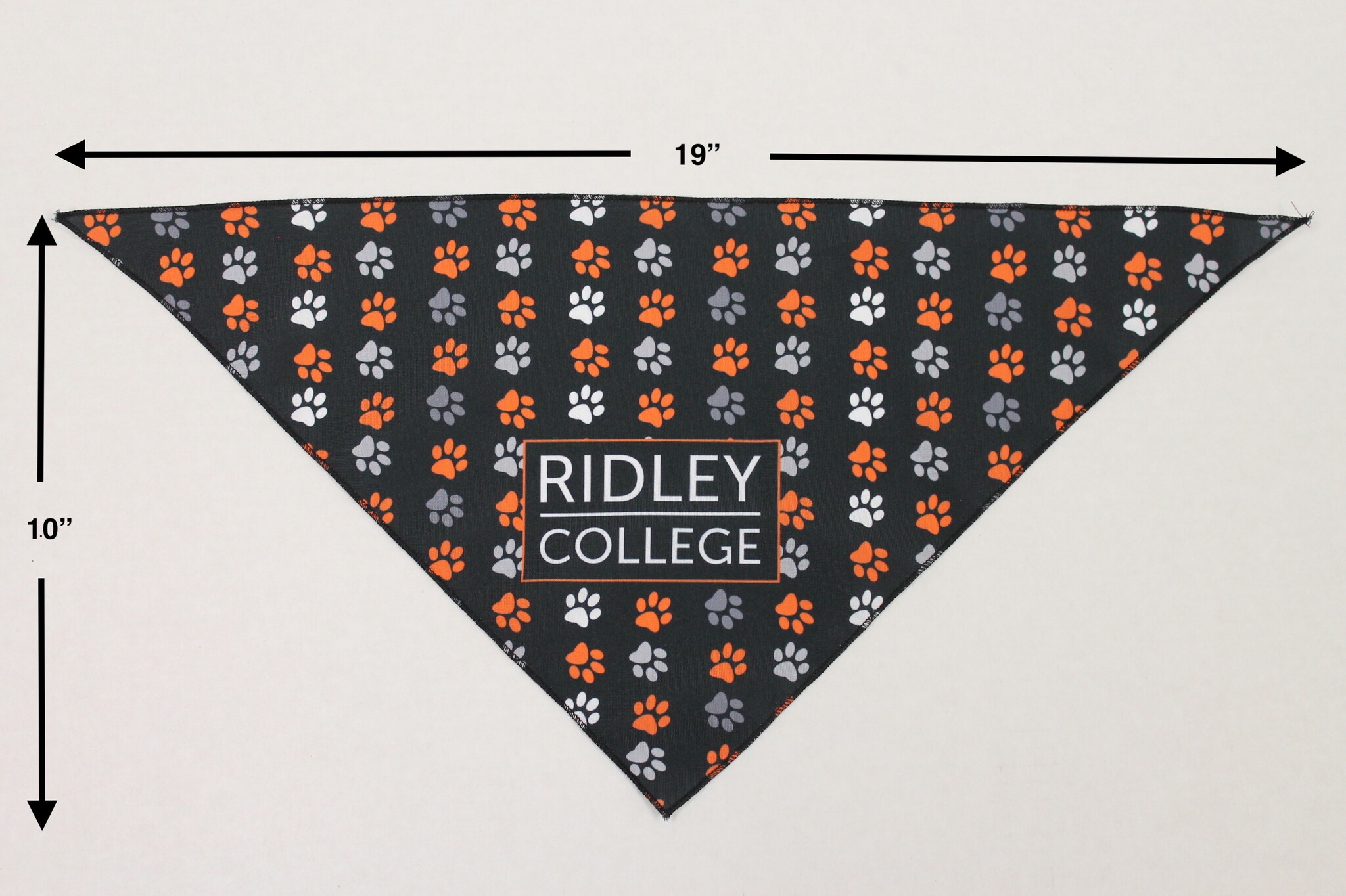 Bandana - Small (10"x19")