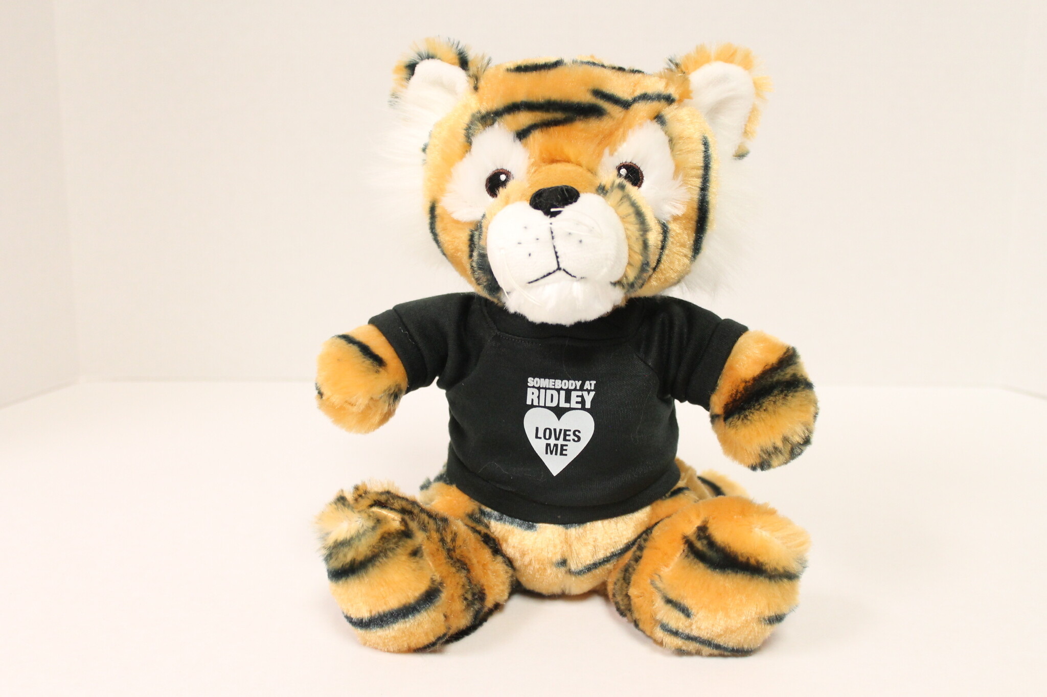 Fuzzy Stuffed Tiger (2024)