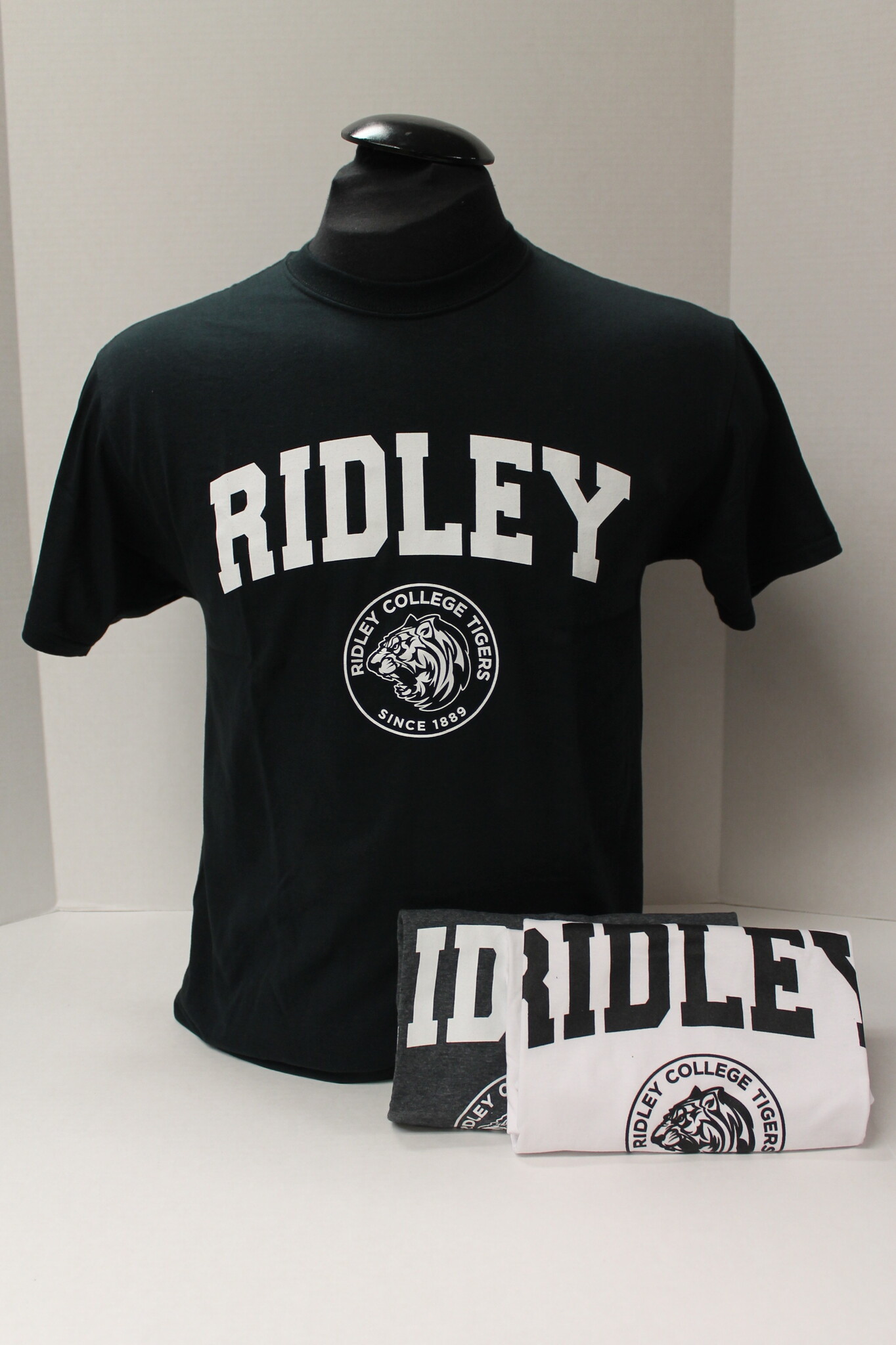 3 T-shirt Bundle