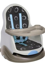 Roger Armstrong Roger Armstrong Reclining Booster Seat