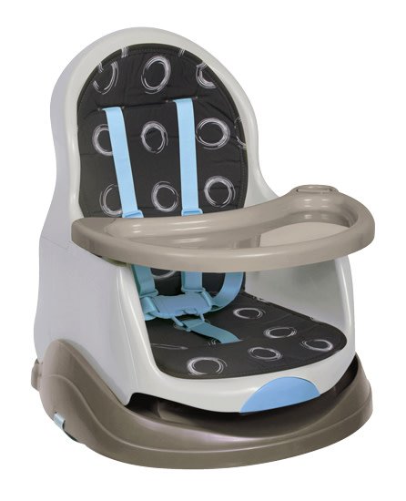Roger Armstrong Roger Armstrong Reclining Booster Seat