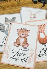 Joseph Prints Joseph Prints Woodland Animals Milestone Cards