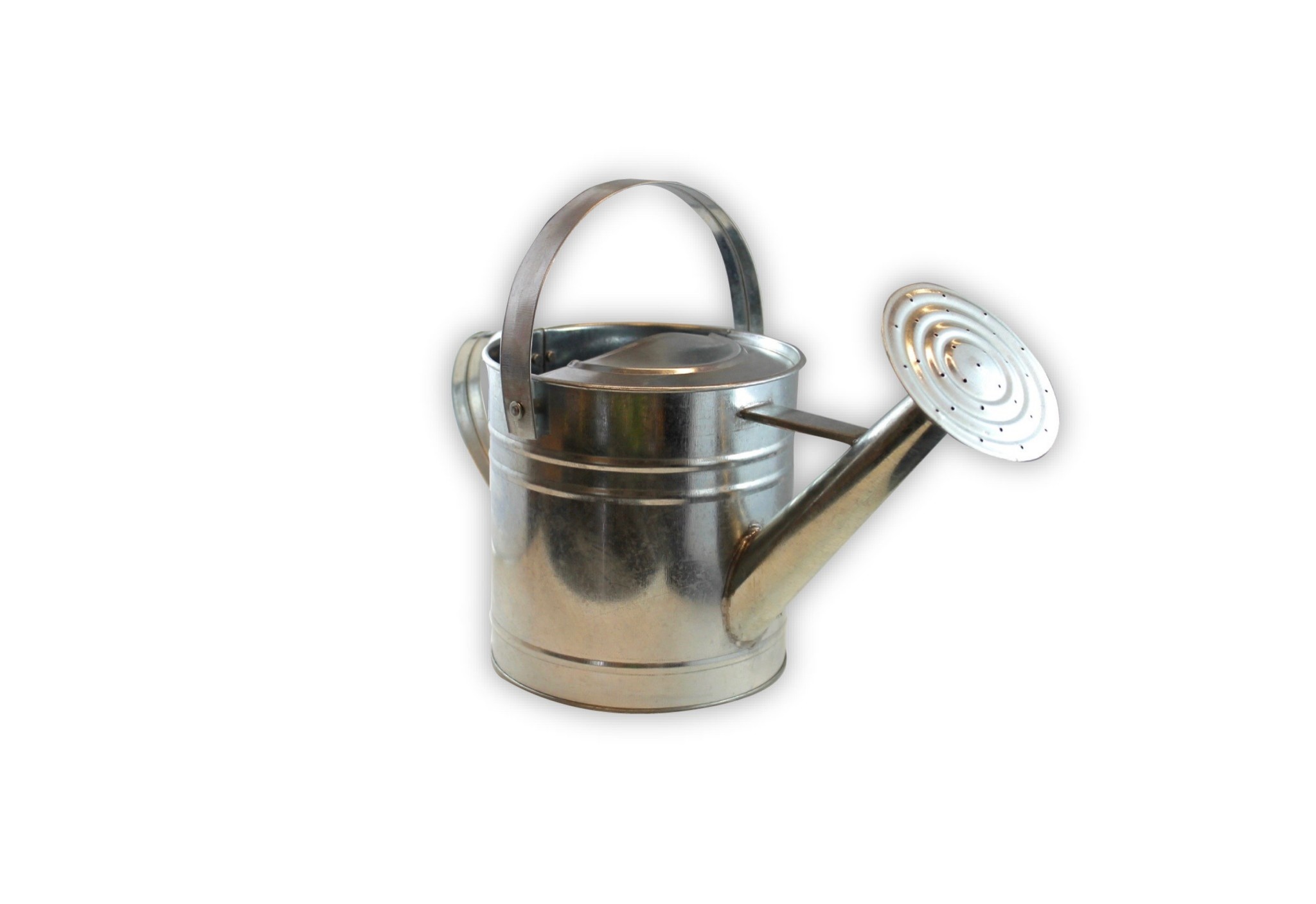 Twigz Twigz Pro Galvanised Steel 3L Watering Can