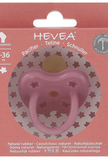Hevea Hevea - Colour Pacifier - Orthodontic - Watermelon