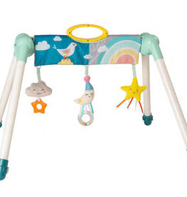 Taf Toys Taf Toys Mini Moon Take To Play Baby Gym