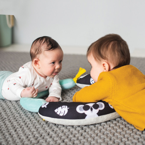 Taf Toys Taf Toys 2 in 1 Tummy Time Pillow