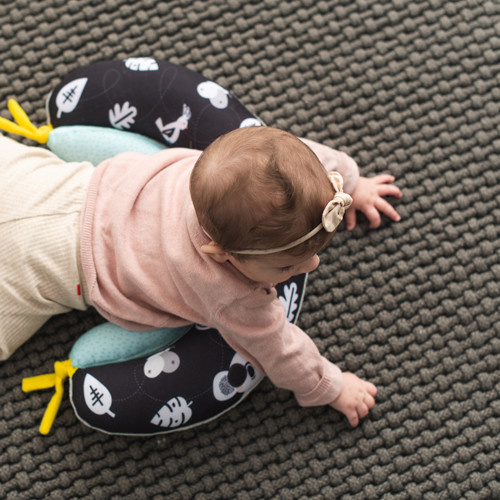 Taf Toys Taf Toys 2 in 1 Tummy Time Pillow
